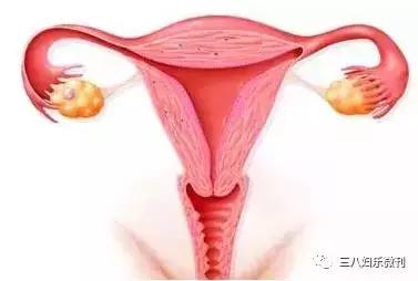 这是女人的健康“开关”，生育和美貌都由它掌管！