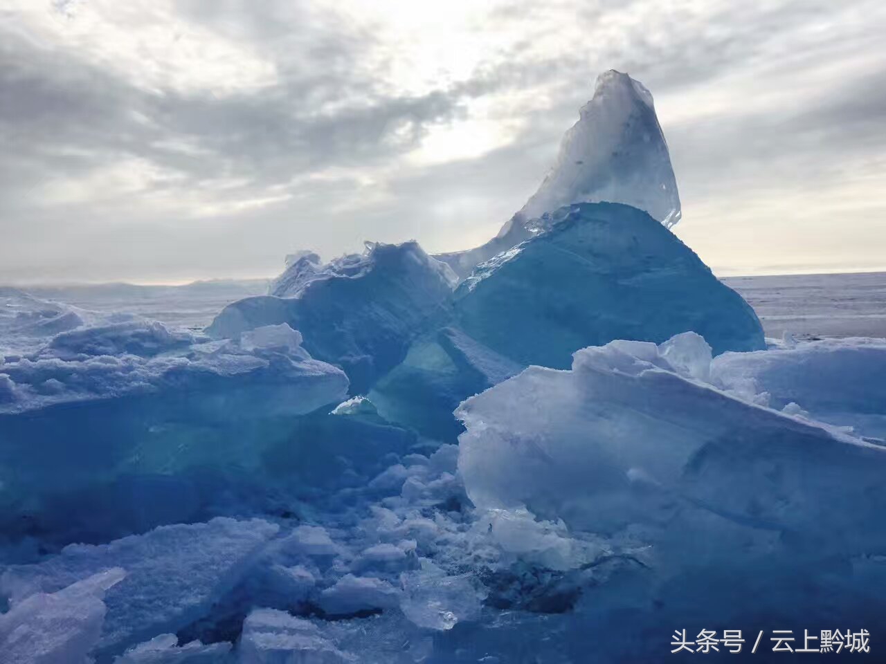 北海的冬天依然绿树成荫,冬天的北海让人忘记了寒冷