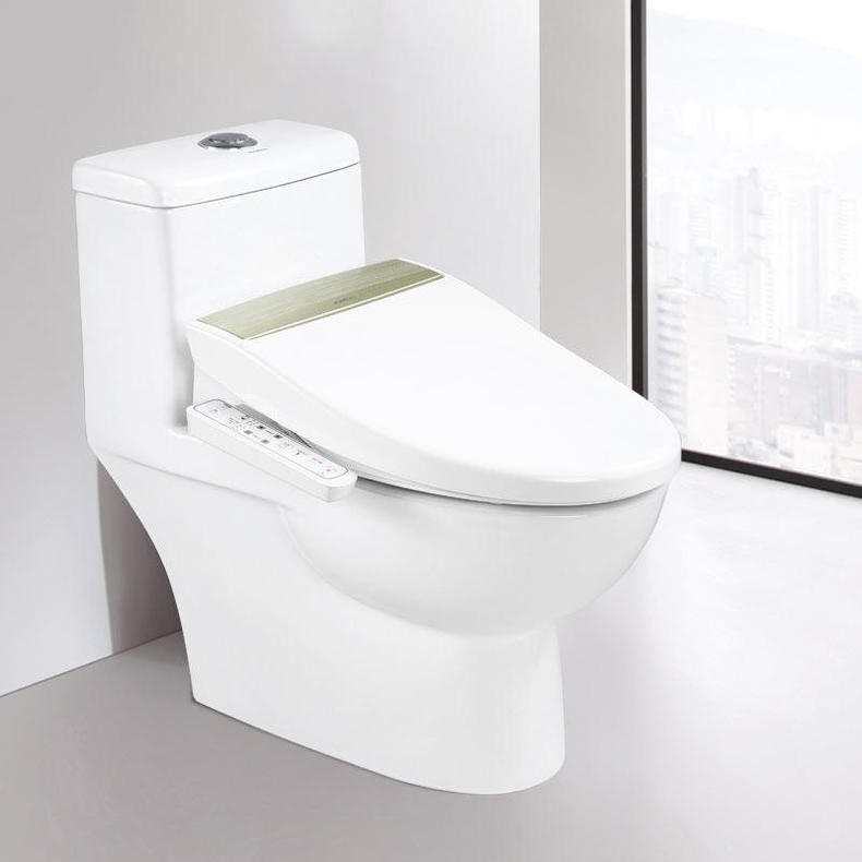 舒适座便器,适合家用的座便器