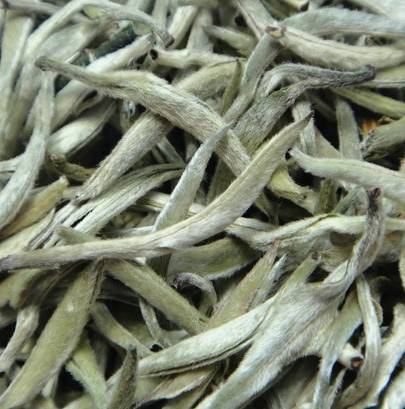 帮你冲走过年吃的所有罪恶感，快看过来