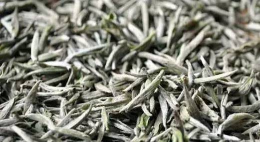 帮你冲走过年吃的所有罪恶感，快看过来