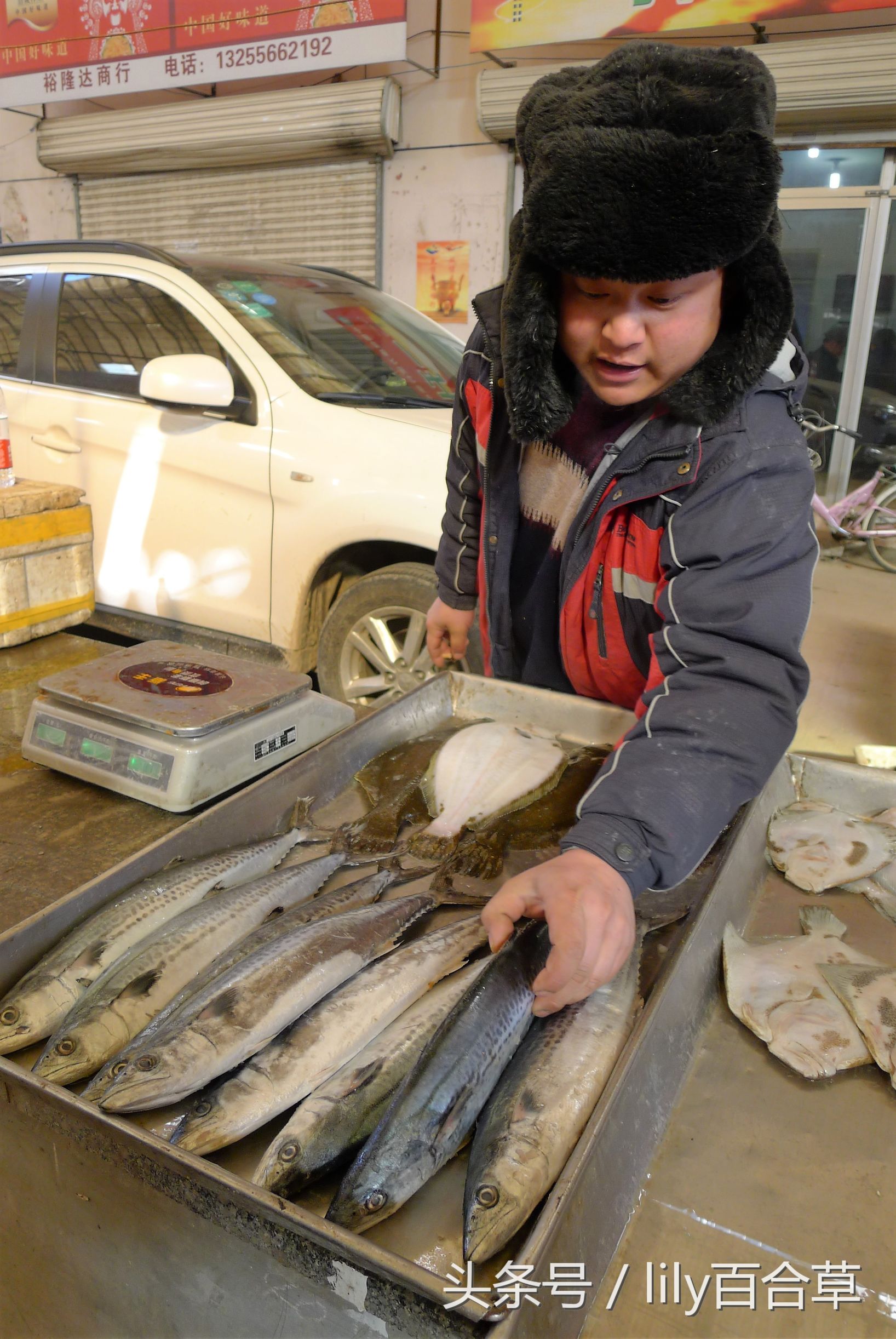 哪些海鲜可以带回家,回家路上可以带海鲜吗