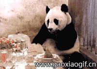 喵：天下武功，唯快不破