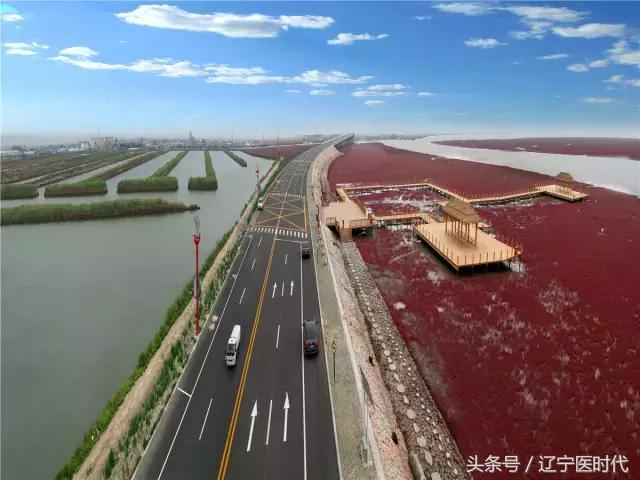 我叫辽宁，绝对不是我吹牛，今年我将让全国刮目相看！