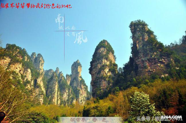 张家界国家森林公园旅游攻略,张家界品质游旅行社旅游攻略