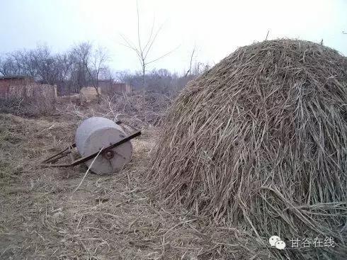 甘谷历史传说,甘谷的传说或民间故事