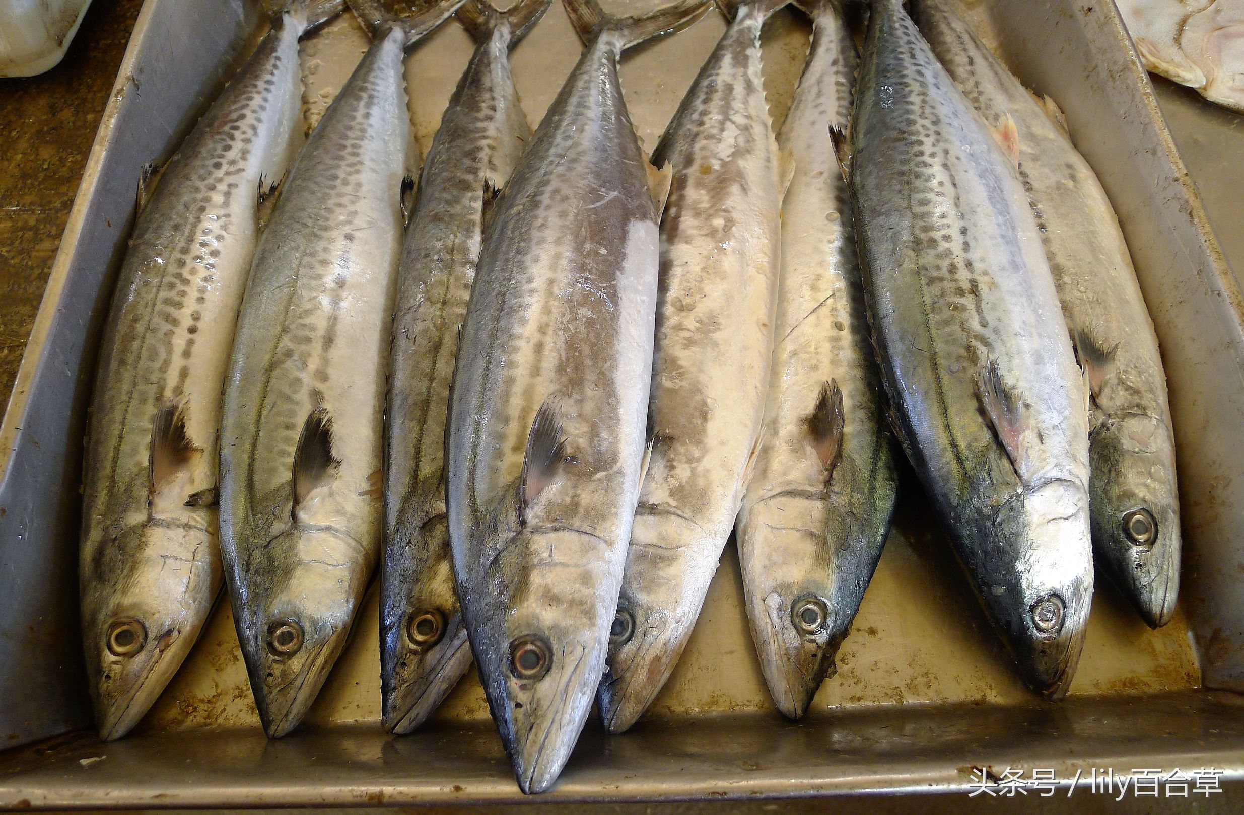 哪些海鲜可以带回家,回家路上可以带海鲜吗