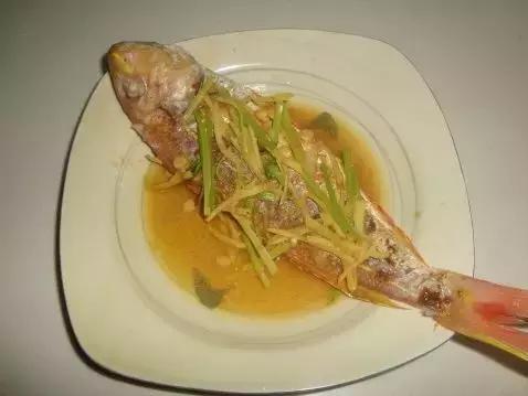 哪种海鱼炖鱼最好吃,海边渔民怎么炖鱼