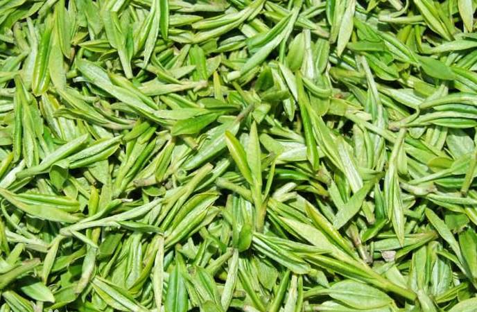 帮你冲走过年吃的所有罪恶感，快看过来