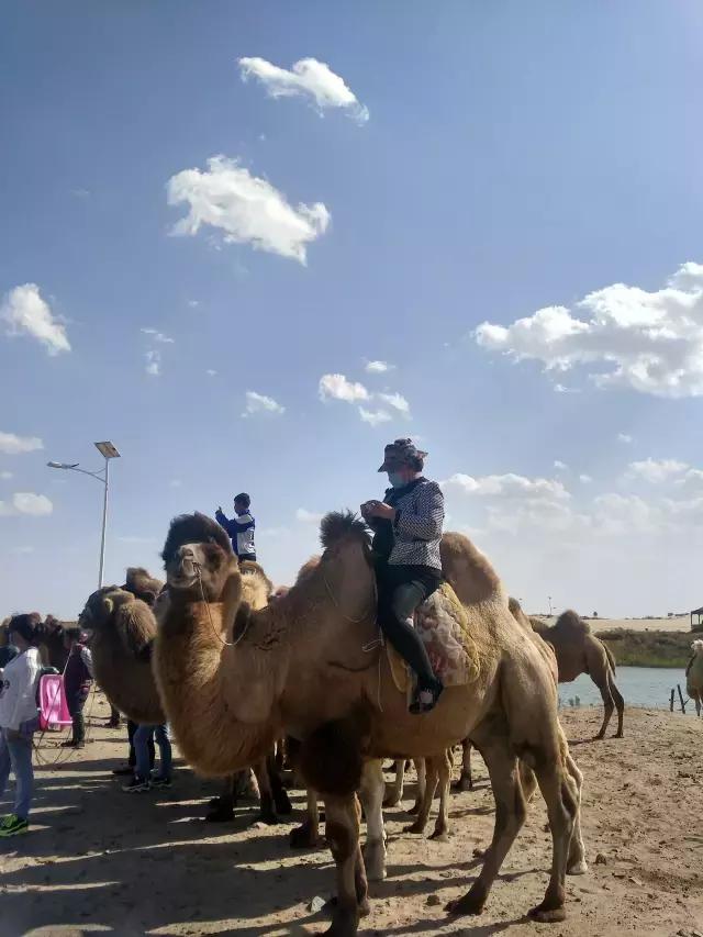 冬季奈曼沙漠旅游攻略,国庆适合去哪里的沙漠