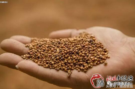 酱宗源酒业官方旗舰店,贵州酱宗源酒业有限公司定制酒