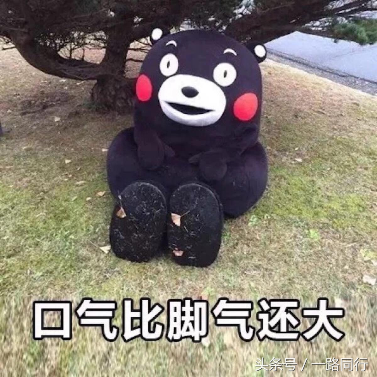 出差和旅游傻傻分不清楚,跟好朋友出来旅游旅游观念不同