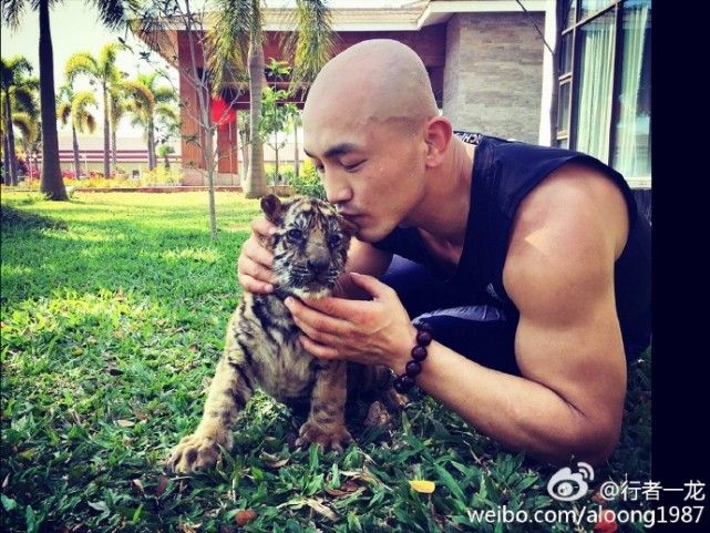 一龙展现金钟罩铁布衫被ko,一龙ko一龙完整版