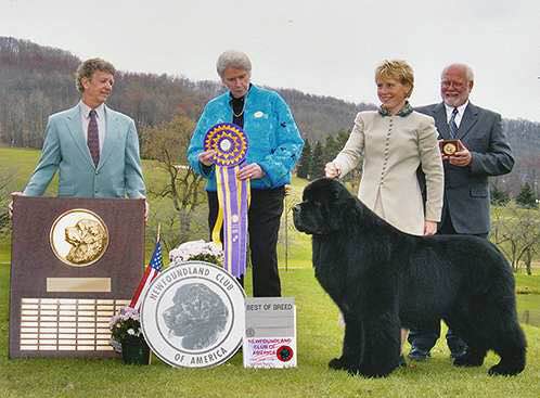 狗狗品种收集大全,收藏狗狗