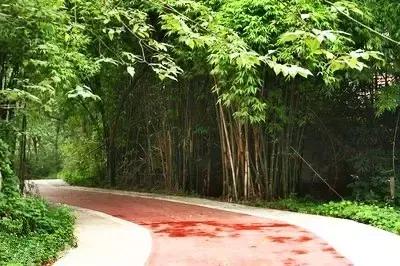 成都郫都区周边烧烤最佳景点,郫都最值得玩耍的地方