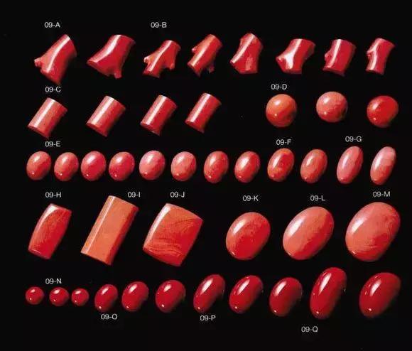 红珊瑚讲解,关于红珊瑚的内容
