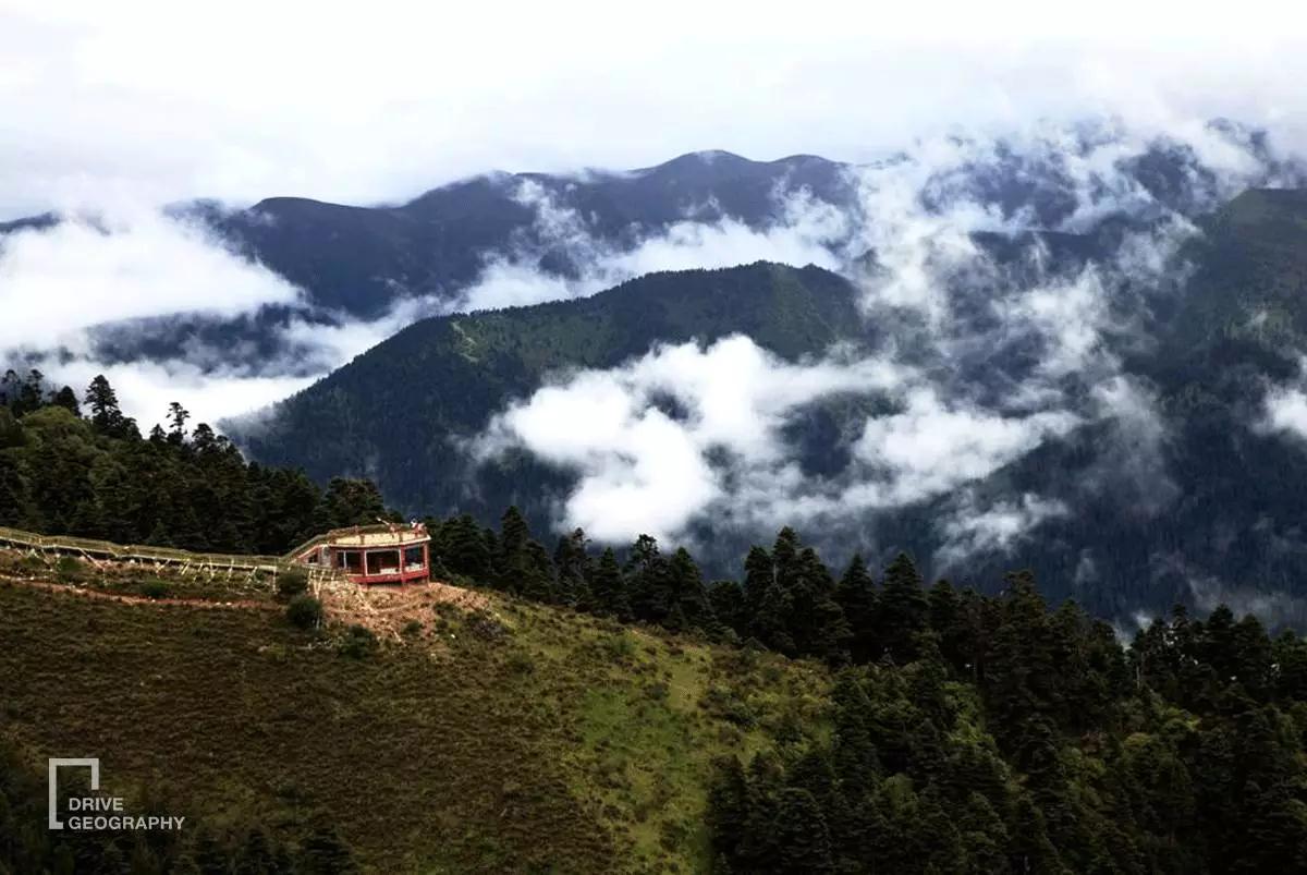 连联合国都赞不绝口的百里桃花，你真的不带她看一下吗？