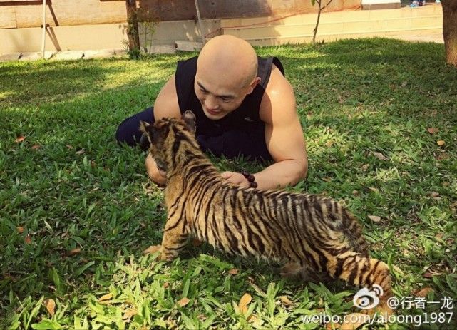 一龙展现金钟罩铁布衫被ko,一龙ko一龙完整版