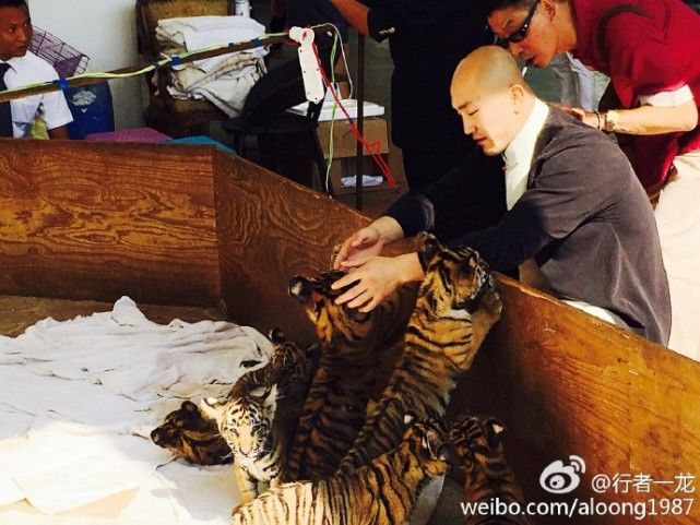 一龙展现金钟罩铁布衫被ko,一龙ko一龙完整版