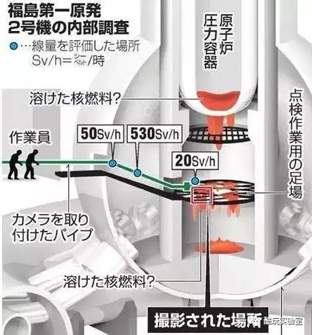 日本福岛核泄漏死了多少人,福岛核泄漏已过7年