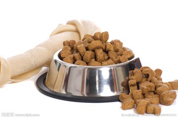 大学问不同犬种不同的狗粮选择