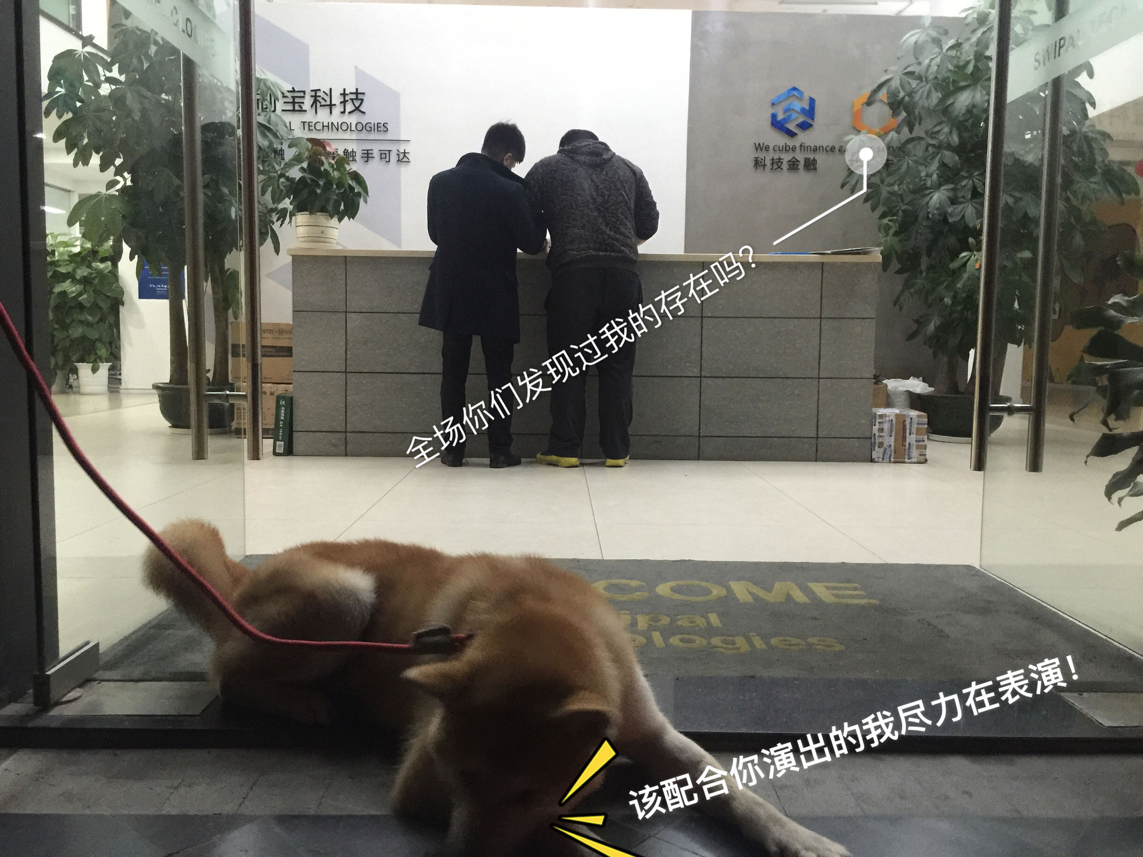 明天就是情人节了图文,明天就是情人节图片