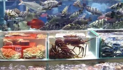 全球十大海鲜市场排名,全球大型海鲜批发市场
