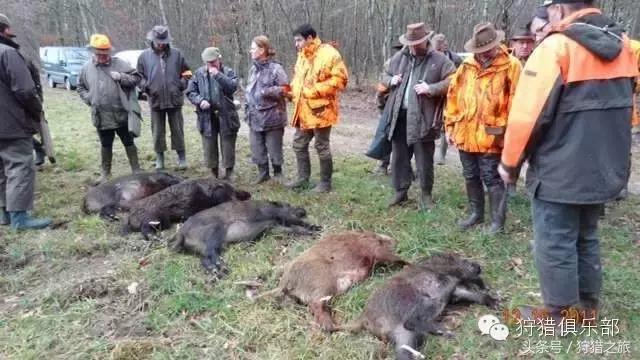 全球最具吸引力的狩猎圣地，加入高人一等的国际猎人组织！