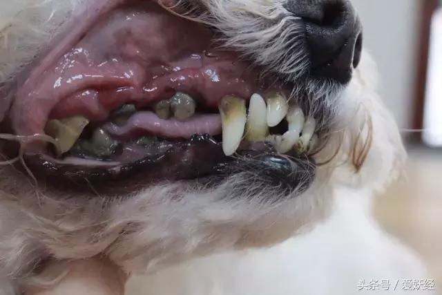 瓒呭０娉㈡礂鐗欑鍣ㄧ湡鐨勫ソ鐢ㄥ悧,瓒呭０娉㈡礂鐗欑鍣ㄩ潬璋卞悧