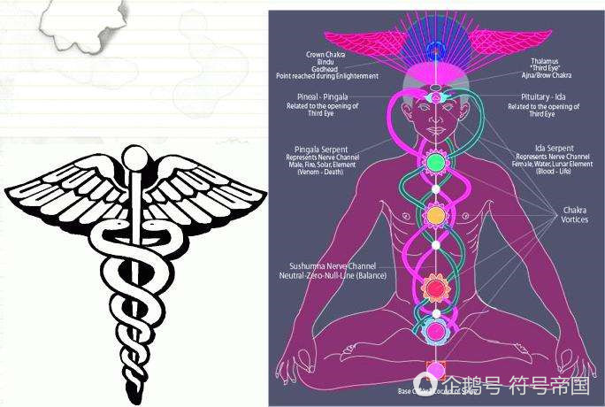 天眼真的有阴阳眼吗,神奇的眼睛真的存在吗