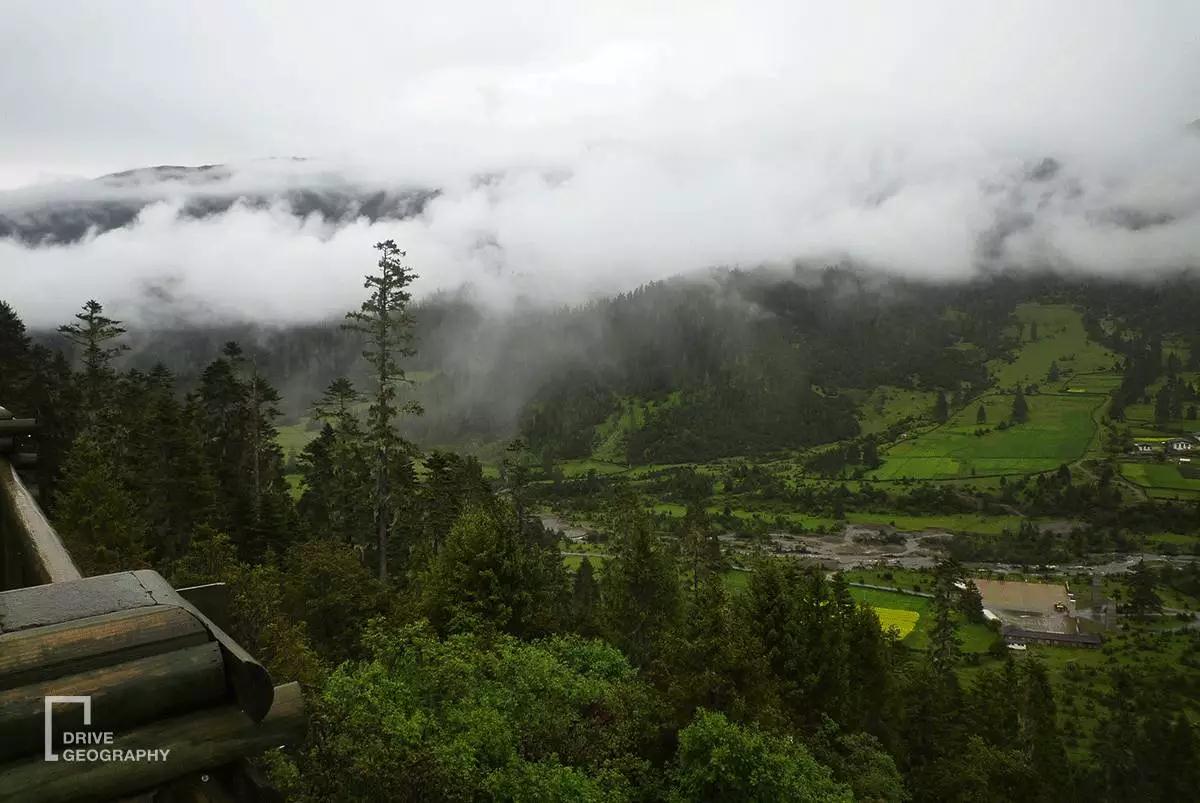 连联合国都赞不绝口的百里桃花，你真的不带她看一下吗？