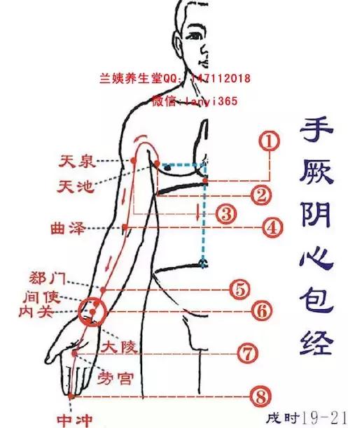 经络调理秘诀小程序,经络治百病