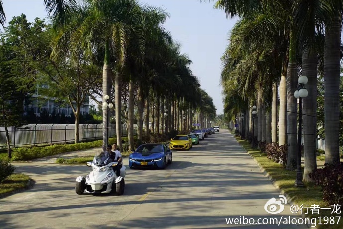 一龙展现金钟罩铁布衫被ko,一龙ko一龙完整版