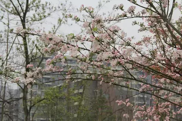 成都郫都区周边烧烤最佳景点,郫都最值得玩耍的地方