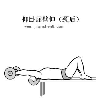 新手哑铃健身计划一周表,哑铃健身计划及标准动作图