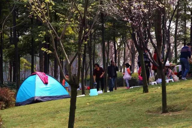 成都郫都区周边烧烤最佳景点,郫都最值得玩耍的地方