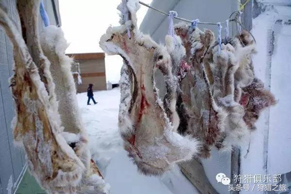 全球最具吸引力的狩猎圣地，加入高人一等的国际猎人组织！