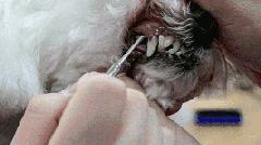 瓒呭０娉㈡礂鐗欑鍣ㄧ湡鐨勫ソ鐢ㄥ悧,瓒呭０娉㈡礂鐗欑鍣ㄩ潬璋卞悧