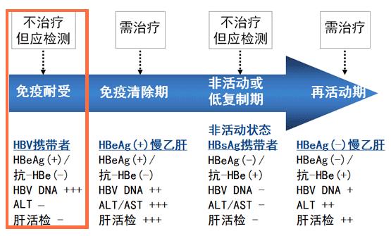乙肝病毒携带者吃什么抗病毒的药,乙肝携带者病毒量高要不要抗病毒