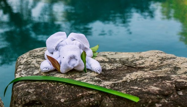 腾冲火山和热海哪个更值得去,去看腾冲火山