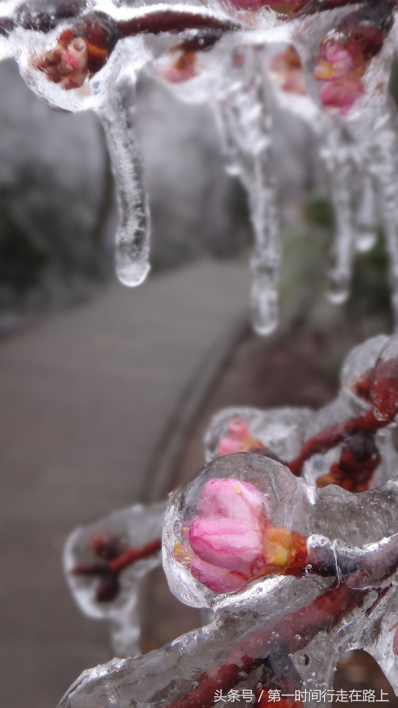 张家界浪漫之地,张家界最浪漫的婚纱