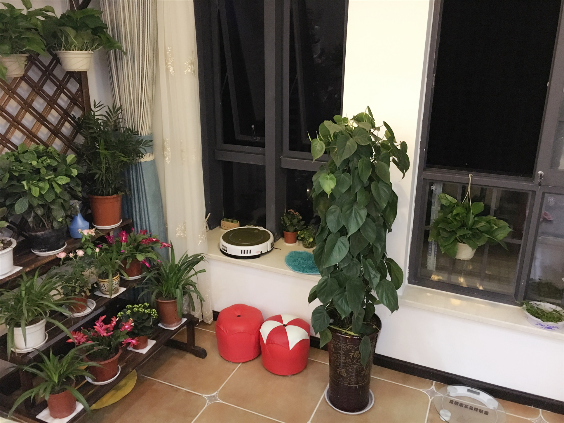 客餐厅一体装修新家,客餐厅一体房子装修设计欣赏