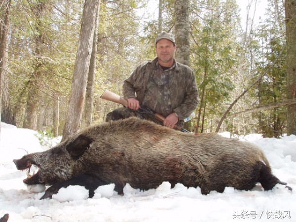 美女手上拿的是什么？猎杀最凶猛动物的复古*器武**