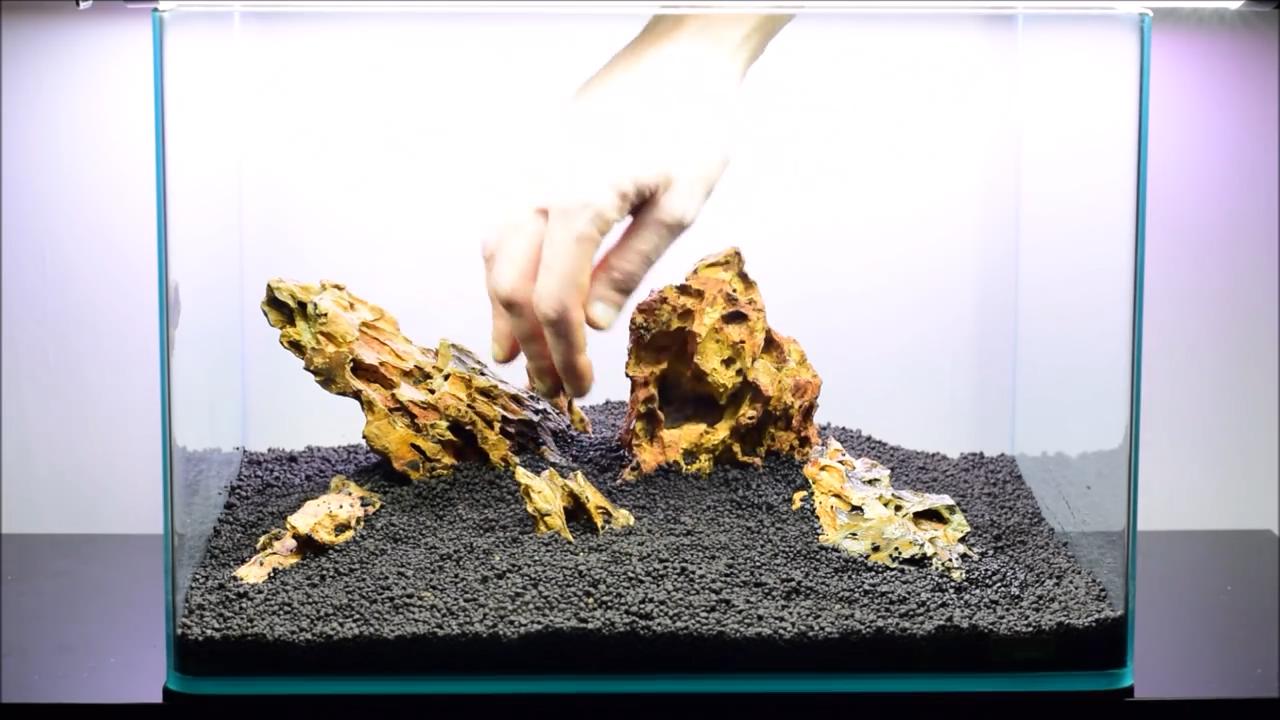 水草造景艺术从入门到精通pdf,初学水草造景教程