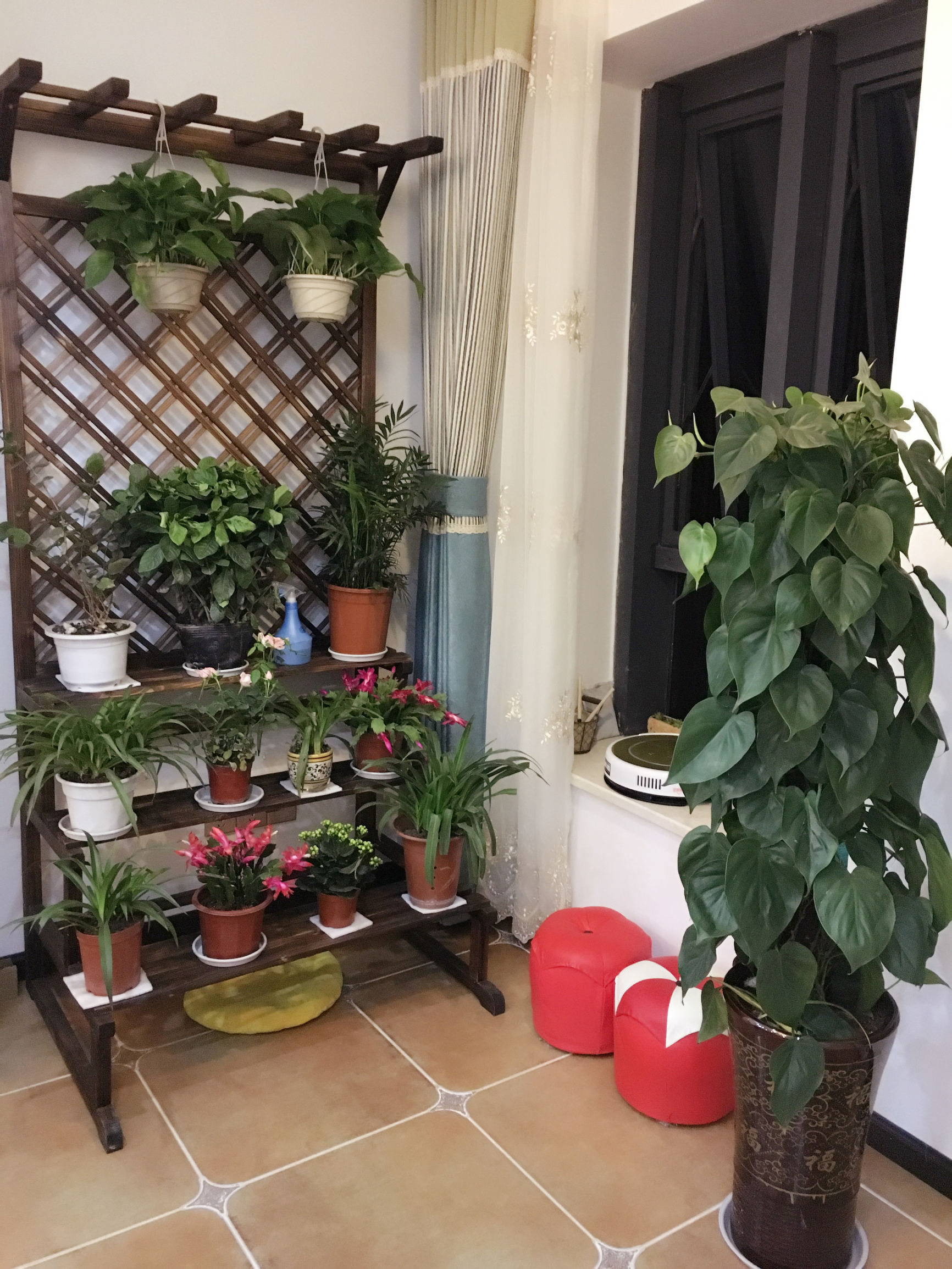 客餐厅一体装修新家,客餐厅一体房子装修设计欣赏