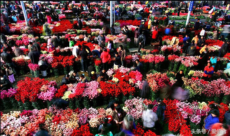 想做一个花店需要什么,学做花艺师有前途吗