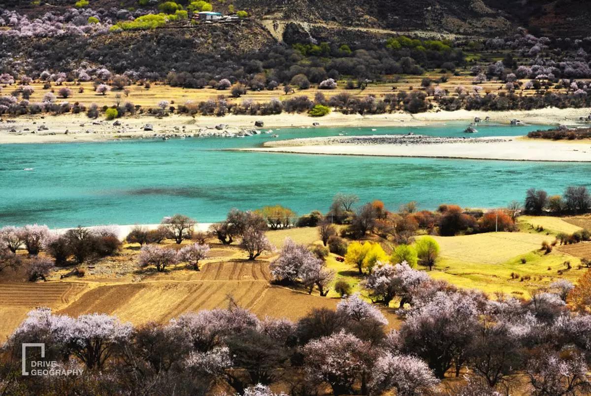 连联合国都赞不绝口的百里桃花，你真的不带她看一下吗？