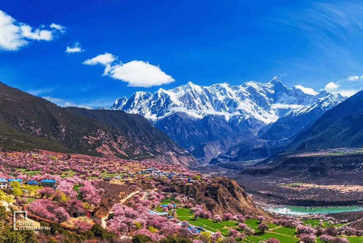 连联合国都赞不绝口的百里桃花，你真的不带她看一下吗？