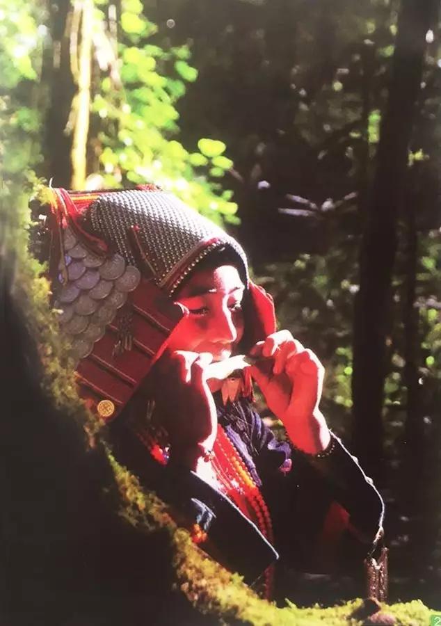 在美丽的西双版纳领略异域风情,美丽的西双版纳体验异国风情