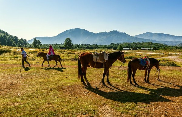 腾冲火山和热海哪个更值得去,去看腾冲火山
